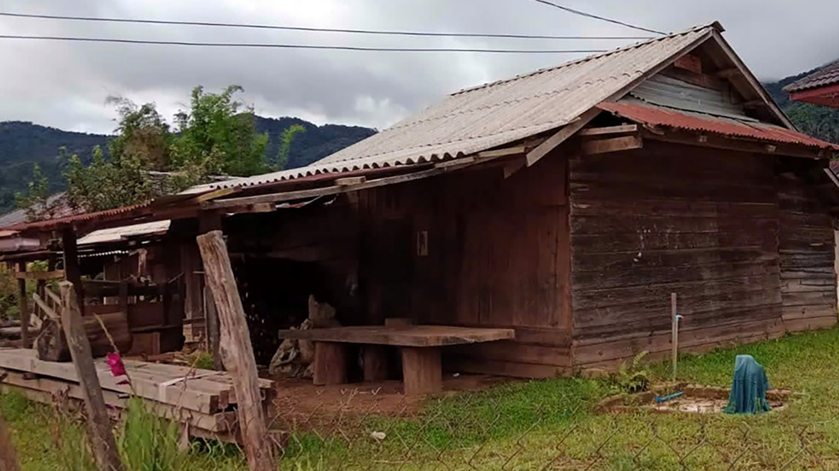 Scientists found a slender creature with two visible eggs lurking in a village of Laos and discovered a new species, a study said.