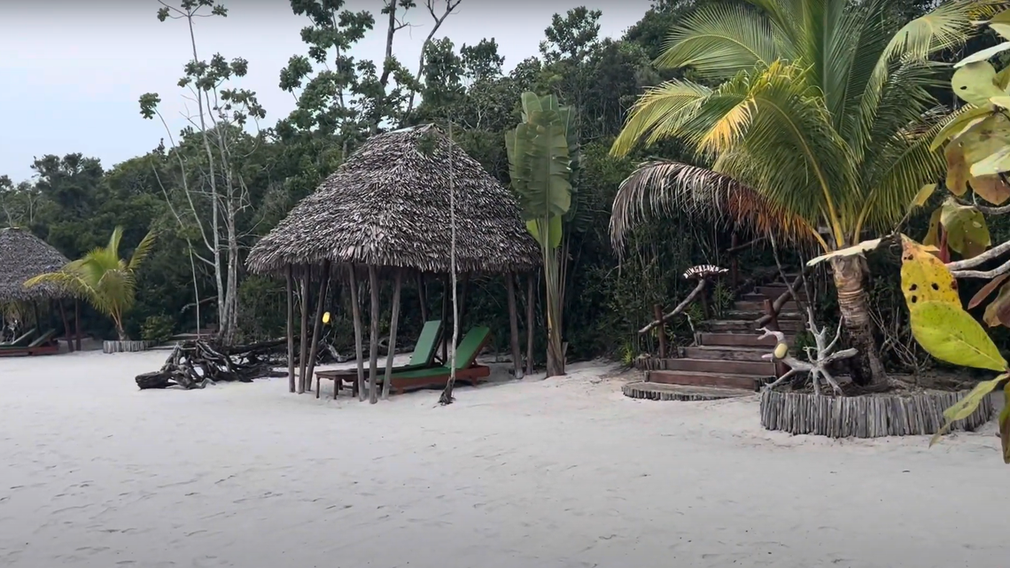 Scientists found a “miniaturized,” color-changing creature mating near a hotel and discovered a new species, a study said.