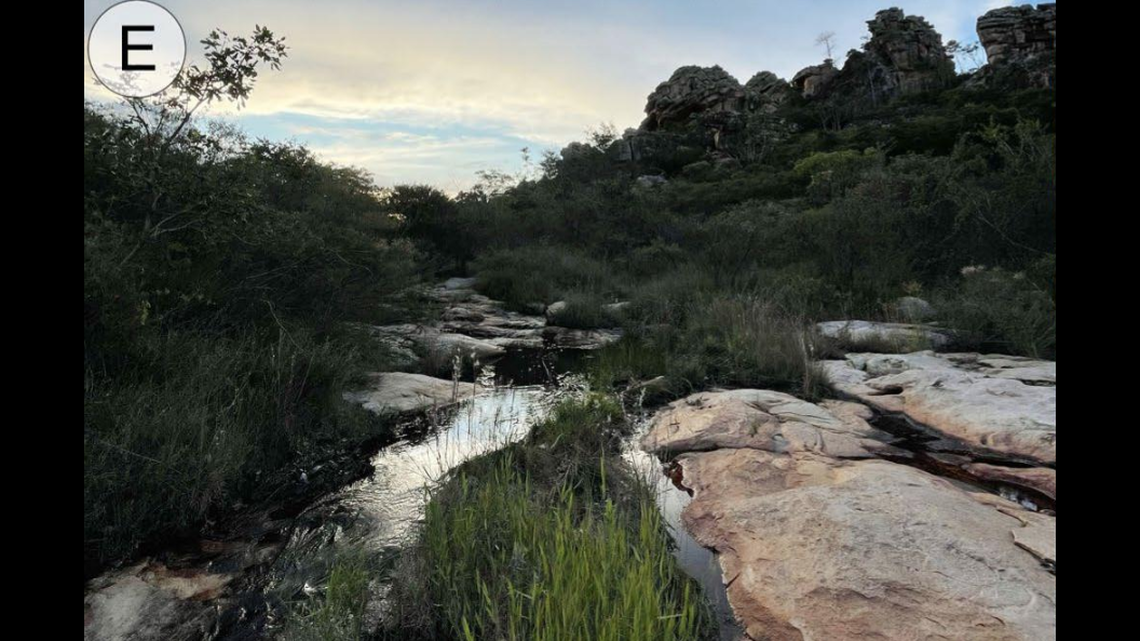 In the winter months of eastern Brazil, temporary streams offer a home for a new species of frog.