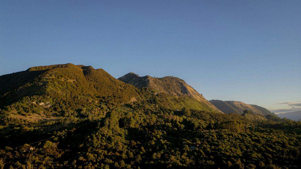 The young male kea spent five months recovering after a “complex” course of treatment, experts said.