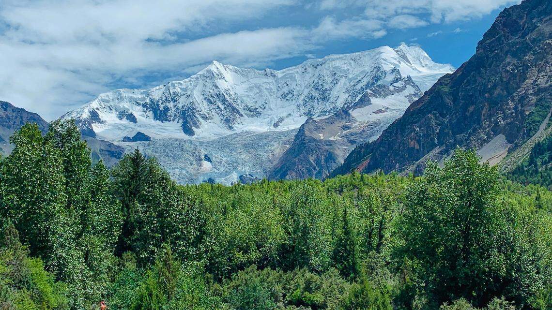 Scientists heard “unique songs” at night in the Tibet mountains and discovered a new species, a study said. The photo shows a representative area.