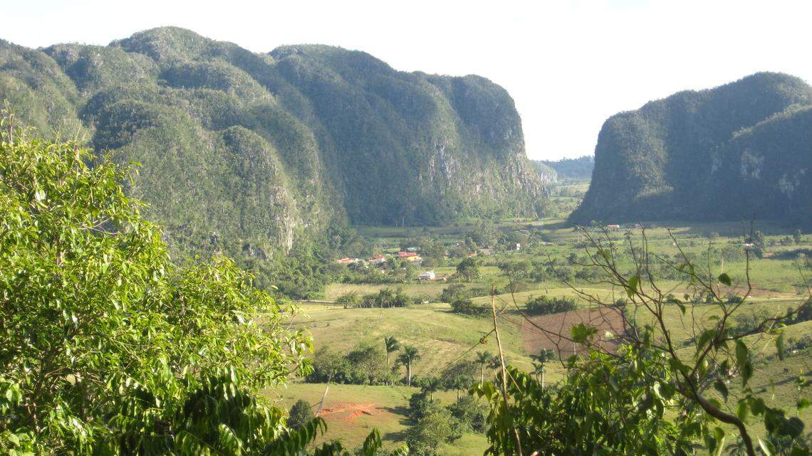 Scientists found a “large” spider with “feather duster-like” legs in a forest and discovered a new species, a study said.
