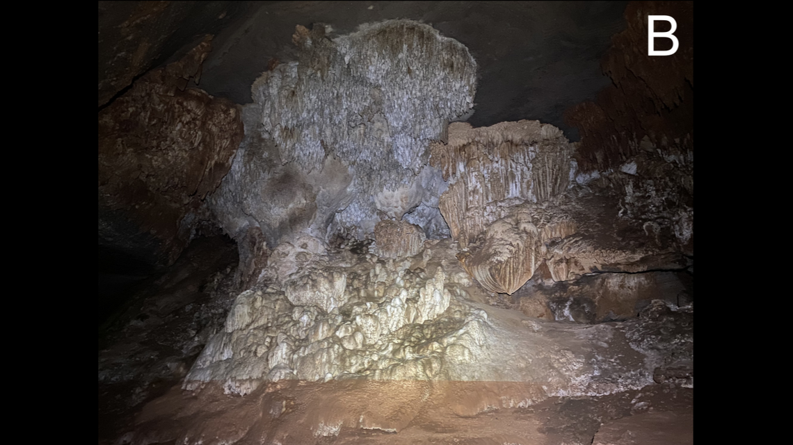 Scientists found a “solitary” animal with no eyes in caves of Bahia and discovered a new species, a study said.