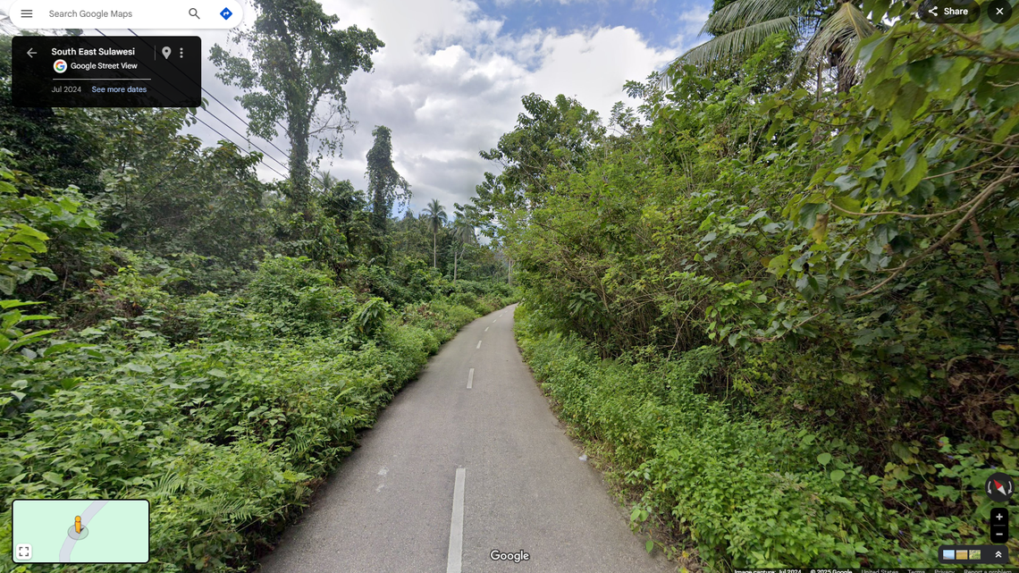 Scientists found some armless forest creatures in traps on an island of Indonesia and discovered a new species, a study said.