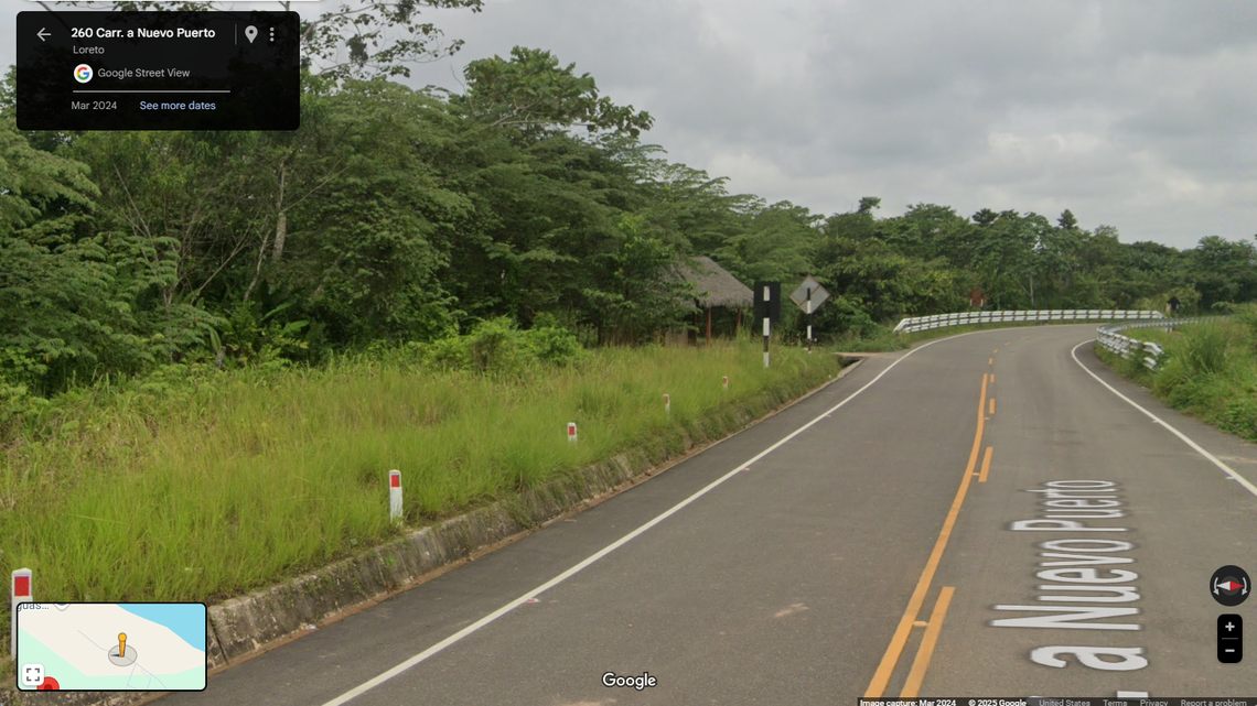 Scientists found a “golden”-eyed creature with “slender” toes in a forest of Peru and discovered a new species, a study said.