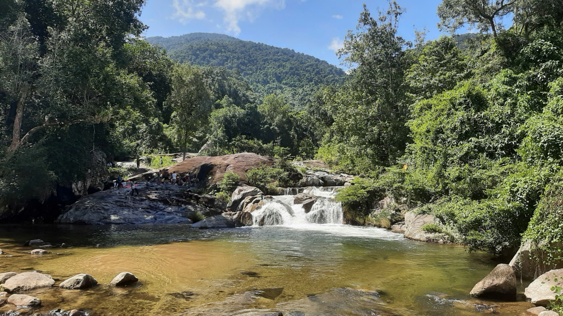 Scientists found a blotchy brown creature with “slender” limbs near a tourist site in Vietnam and discovered a new species, a study said.