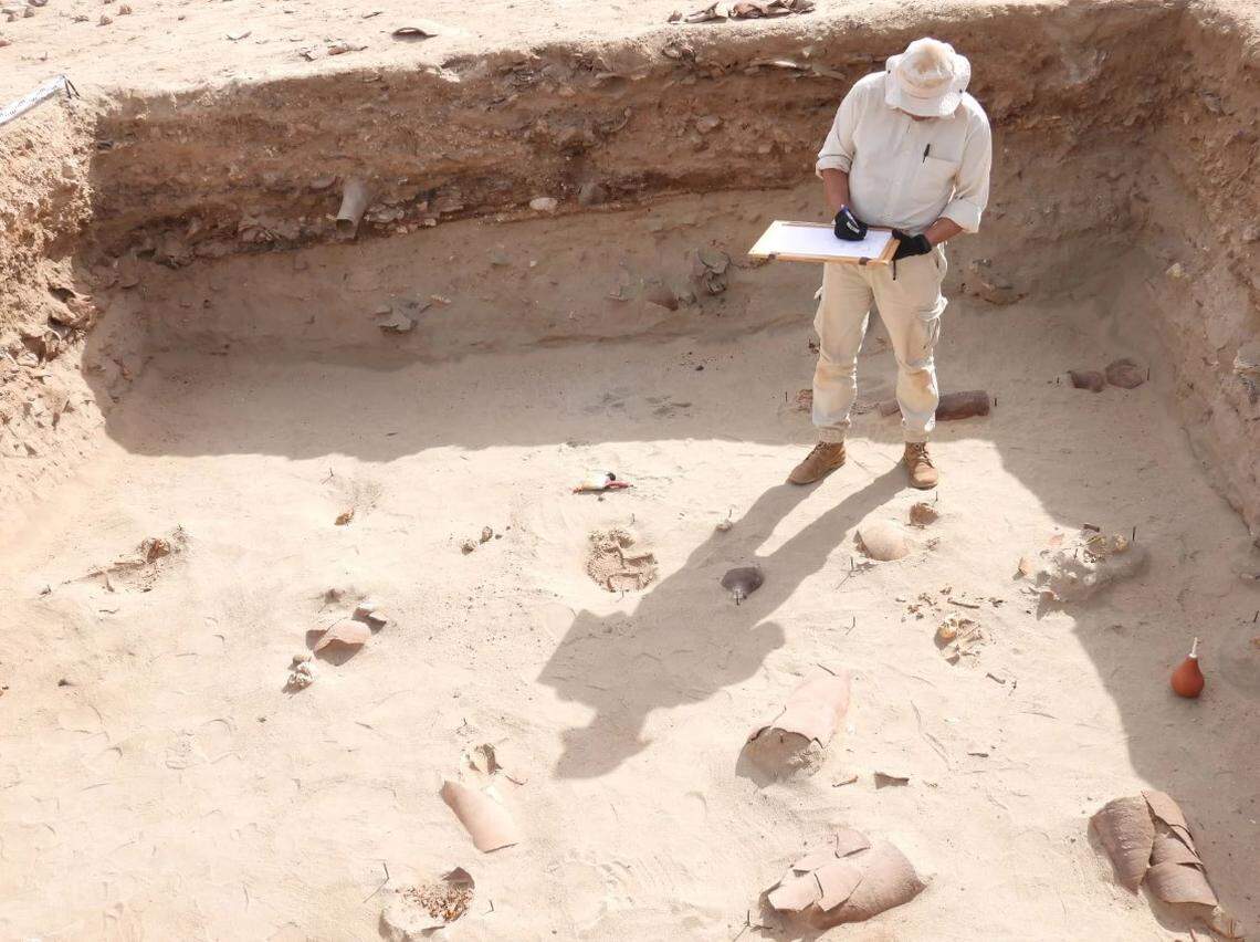 An archaeologist stands at the partially excavated pet cemetery.