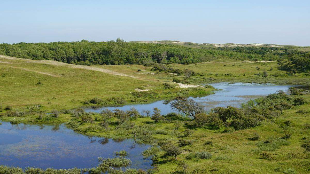 A rare species of caddisfly long believed to be extinct was found during a wildlife survey at Cors Goch Nature Reserve in Wales, wildlife experts said.