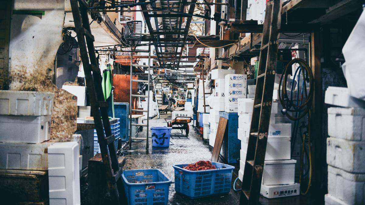 Scientists found an orange-eyed ocean animal at markets in the Philippines and discovered a new species, a study said. Photo shows a representative market.