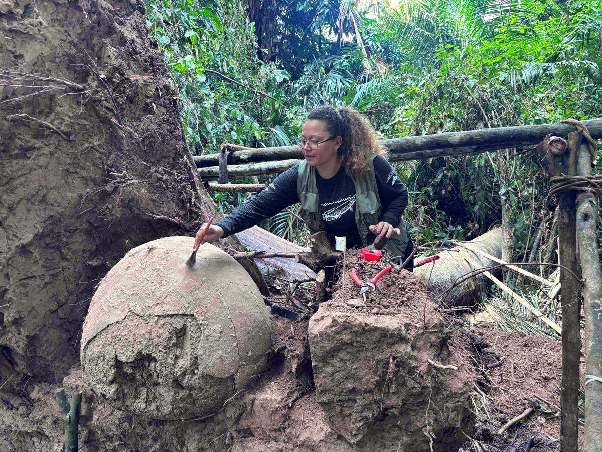 The urns contained fragments of human, turtle and fish bones, according to archaeologists.