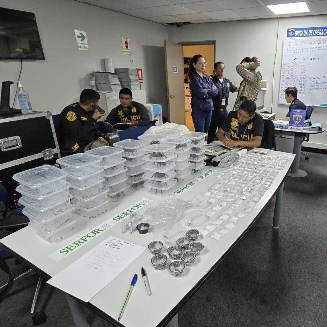 A table shows the animals confiscated from the South Korean traveler.