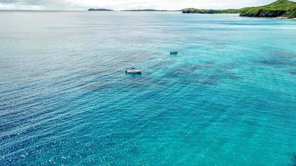 The creatures were spotted near Beqa Lagoon Resort in Fiji, according to a Facebook post.
