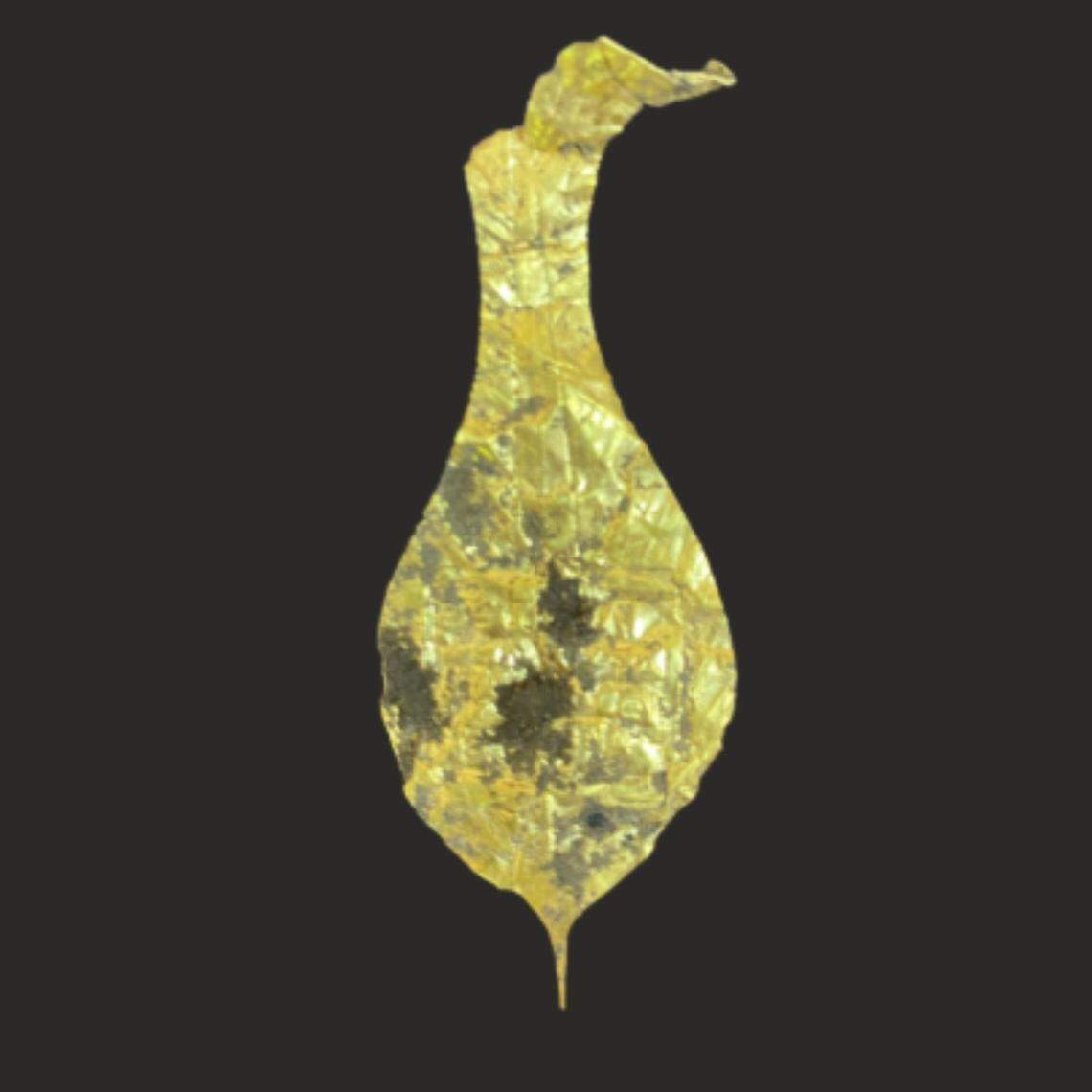 The ancient Roman gold plaque found at the Gonio-Apsaros fortress.