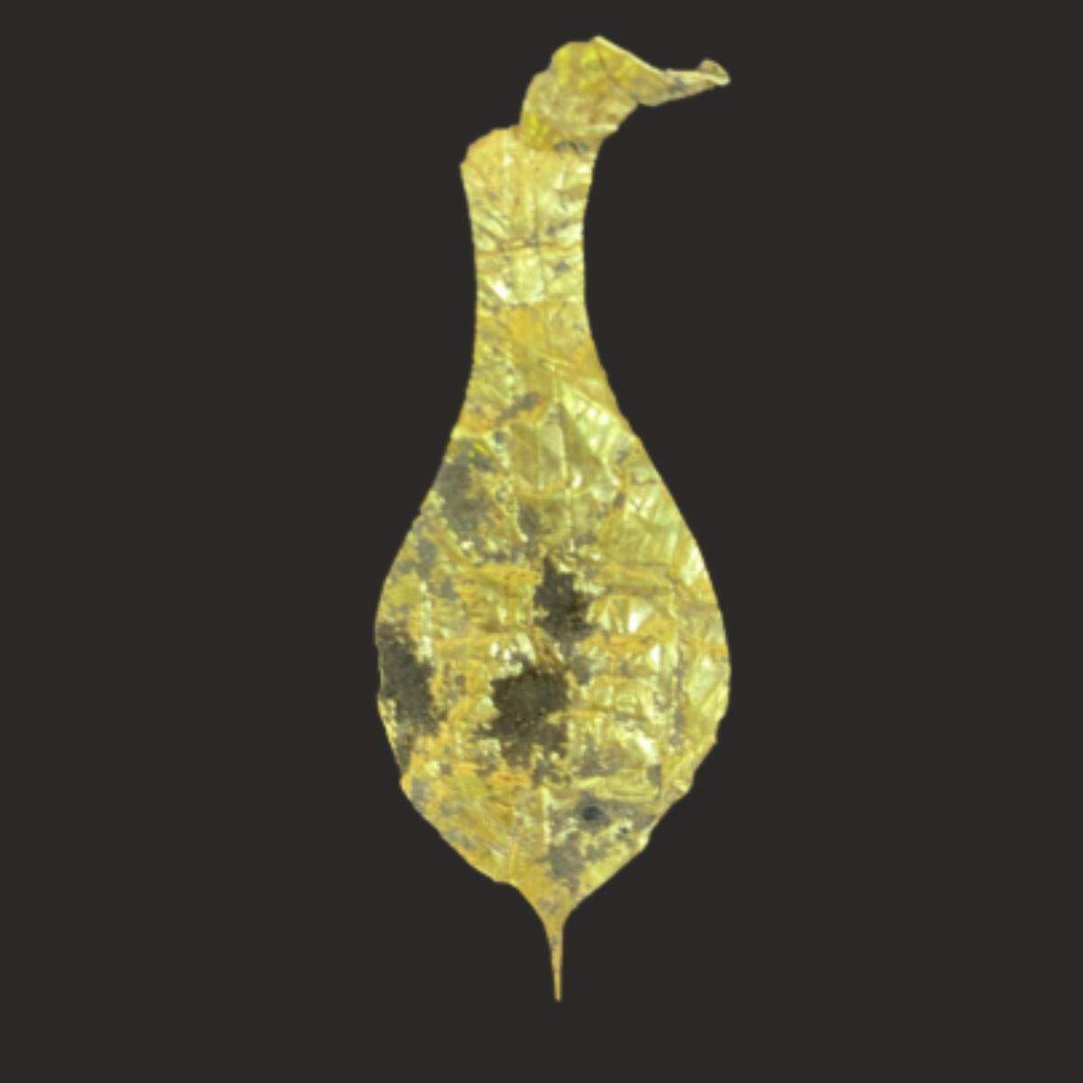The ancient Roman gold plaque found at the Gonio-Apsaros fortress.