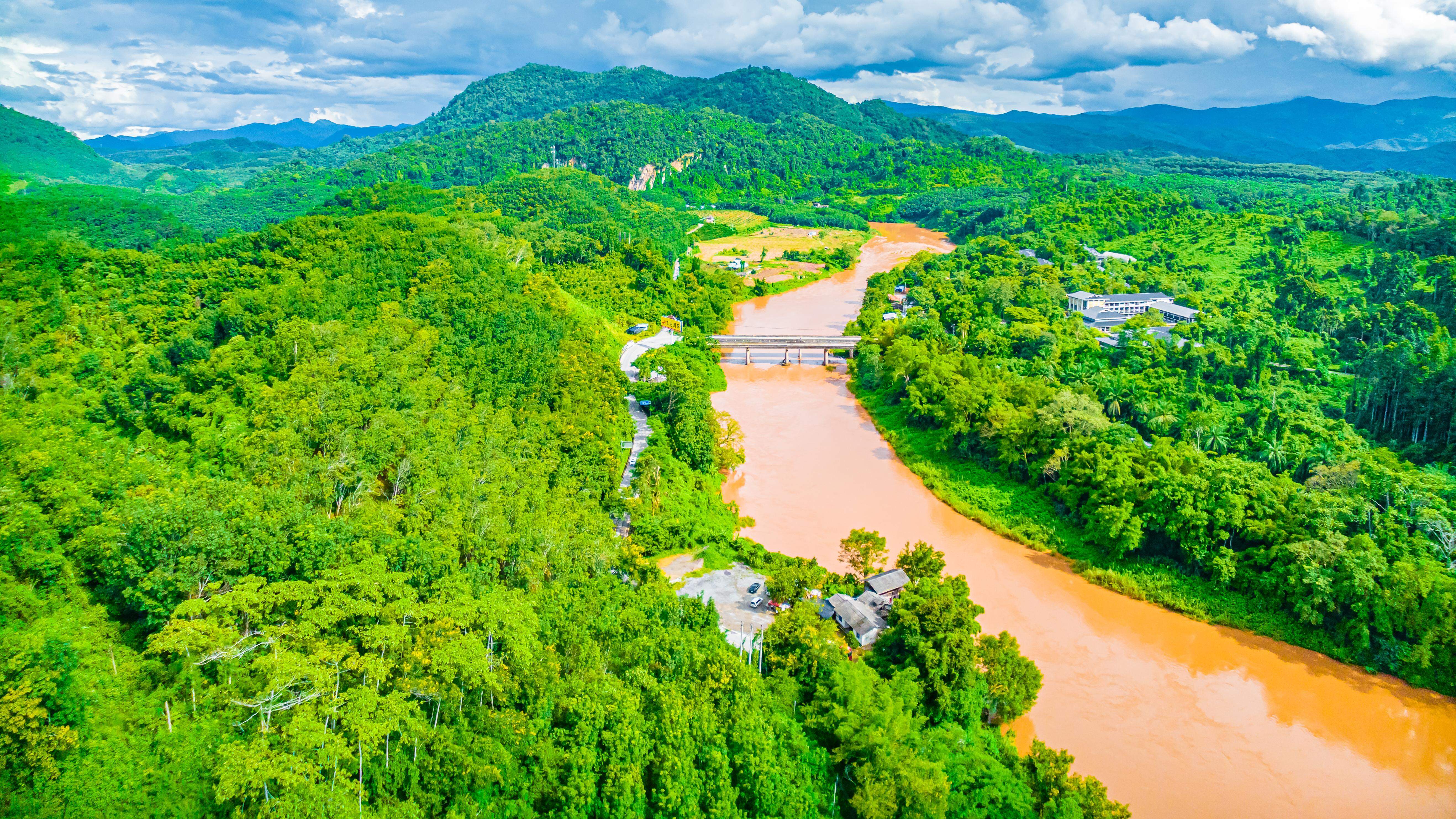 Scientists found a 2-foot-long creature with “large” eyes lurking near a stream in China and discovered a new species, a study said. Scientists found a 2-foot-long creature with “large” eyes lurking near a stream in China and discovered a new species, a study said.