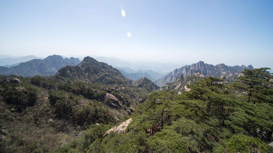 Scientists found a 1-foot-long predator with yellow eyes in China and discovered a “cryptic” new species, a study said and photo shows.