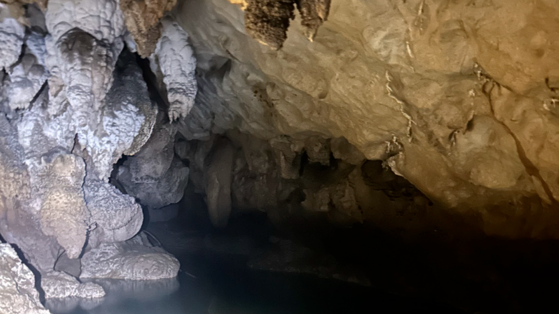 Scientists found an “eyeless” cave creature with a “large hump” in an underground river of China and discovered a new species, a study said.