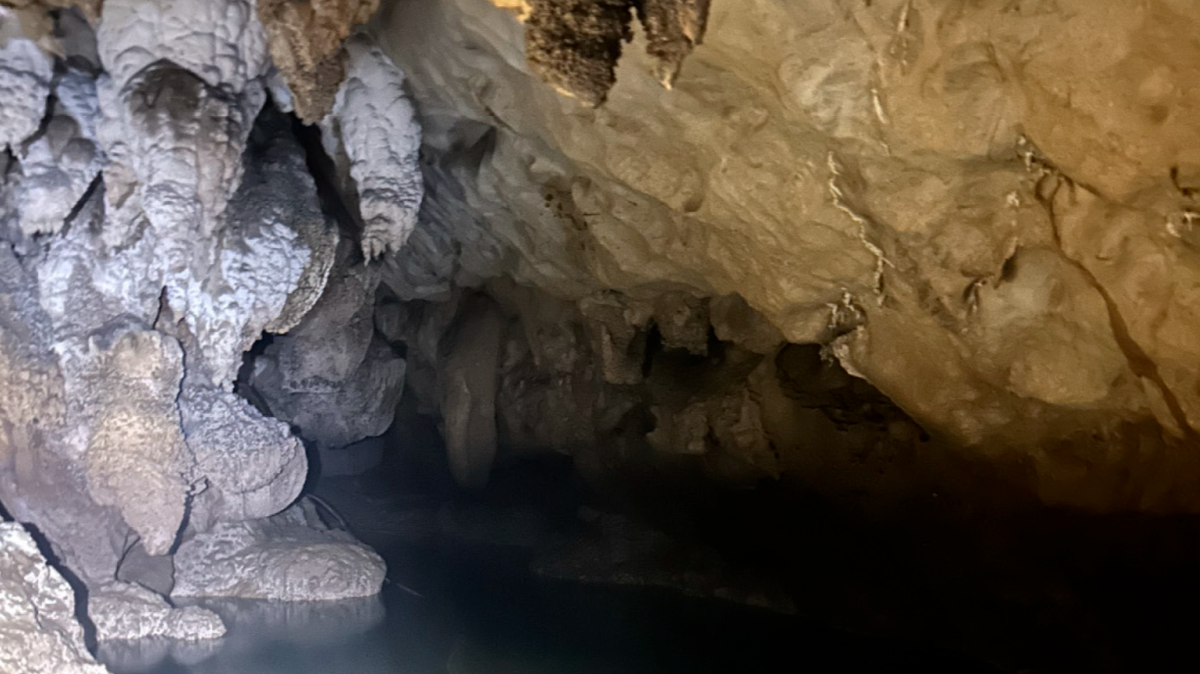 Scientists found an “eyeless” cave creature with a “large hump” in an underground river of China and discovered a new species, a study said.