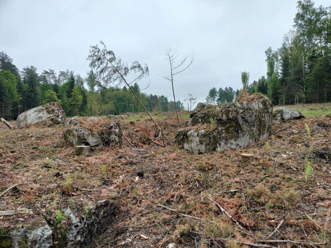 A close-up view of the partially destroyed WWII bunker near Tomaszów Lubelski.