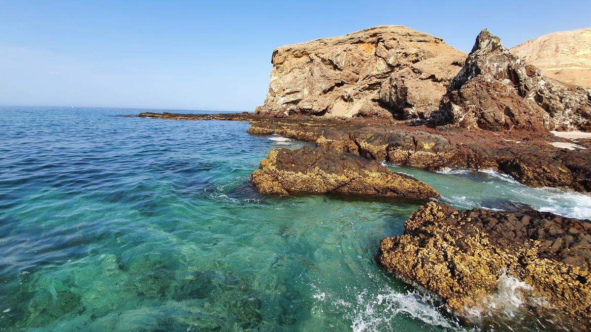 Scientists found a rare, reflective sea animal on shallow reefs and discovered a new species, a study said. Photo shows a representative coastline of Oman.