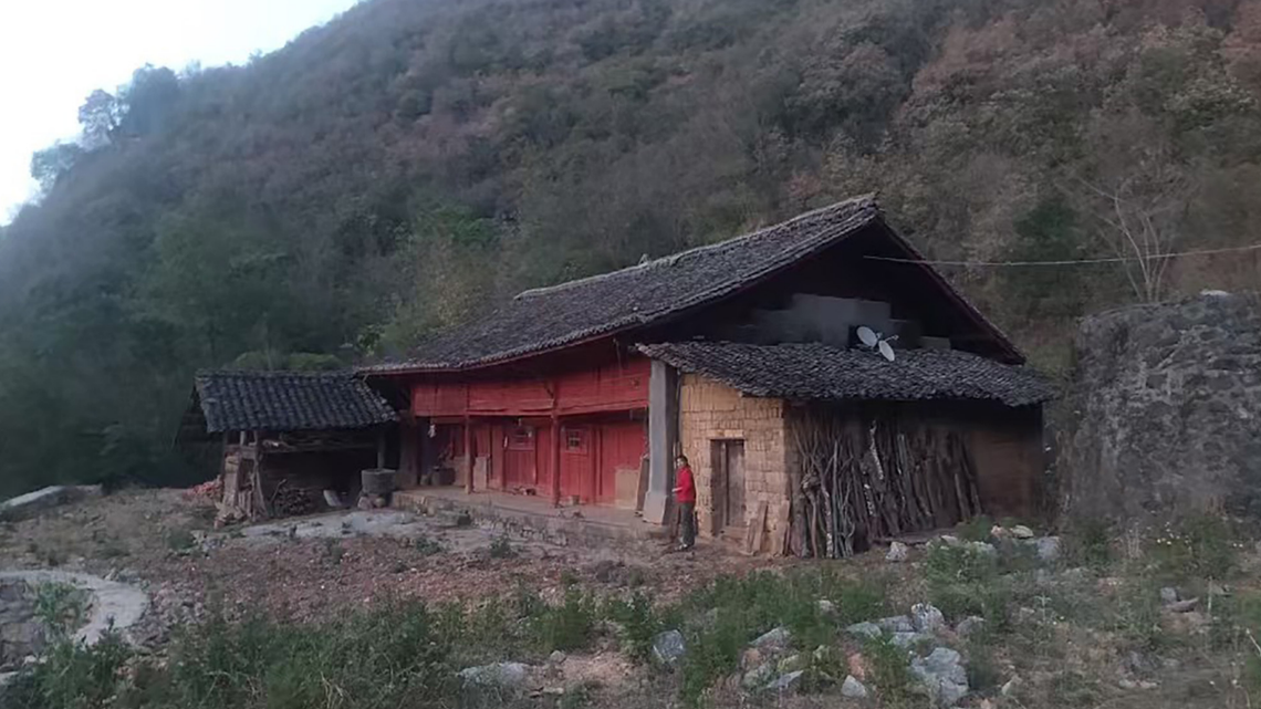 The Guangnan slender gecko was found at night on the “earthen walls” of abandoned homes at the edge of the karst forests near Dianzi Village, according to a study.