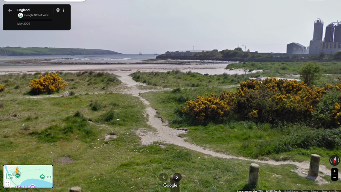 A dog walker at Par Beach on New Year’s Day found the body of an endangered shark with signs of “significant trauma,” officials said.