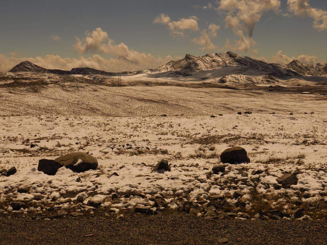 The habitat where Nivaliodes negrobueno, or the Negrobueno snowy butterfly, lives.