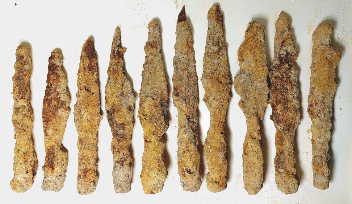 The rusty Roman-era iron spearheads found in Hrubieszów.