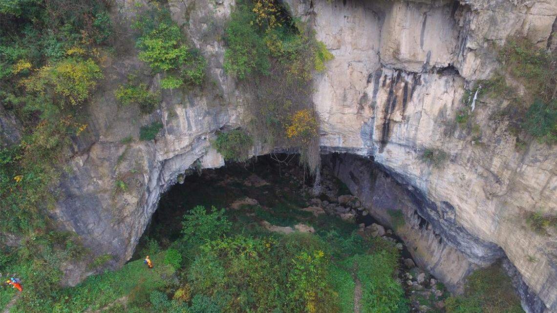 A new species of spider was discovered living in a cave in Sichuan, China, according to a study published in the Biodiversity Data Journal.