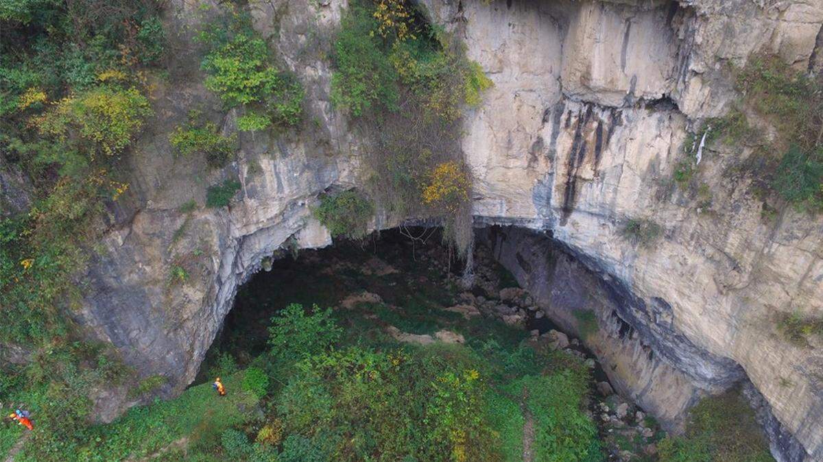A new species of spider was discovered living in a cave in Sichuan, China, according to a study published in the Biodiversity Data Journal.