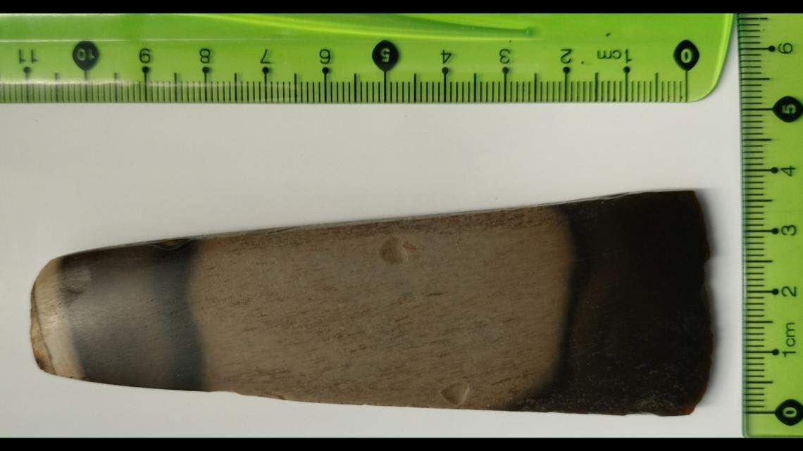 A woman in Poland found a unique stone over 50 years ago, officials said. Her grandson recently gave it to archaeologists who identified the stone as rare 4,400-year-old artifact.