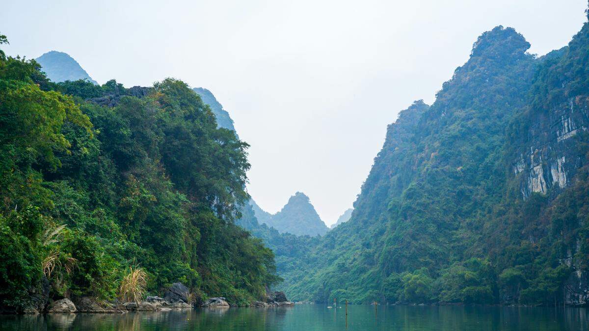 The new wolf snake species was discovered in north-central Vietnam, according to a study.