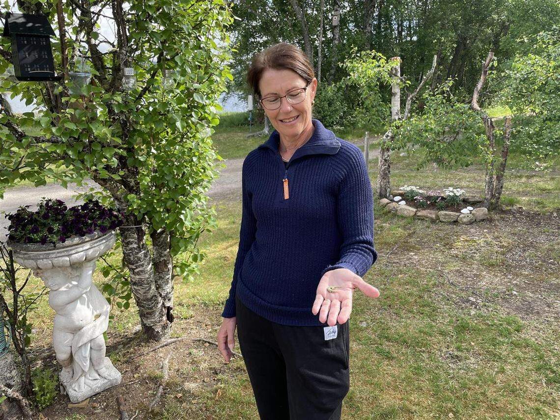 One of the finders, Liv Karlsholm, holds the ancient fish hook.