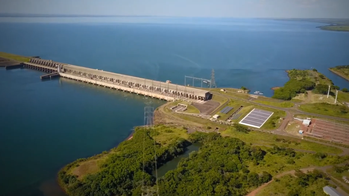 Scientists found a “ghost”-like animal with “ample” genitalia at a hydroelectric power plant in Brazil and discovered a new species, a study said.