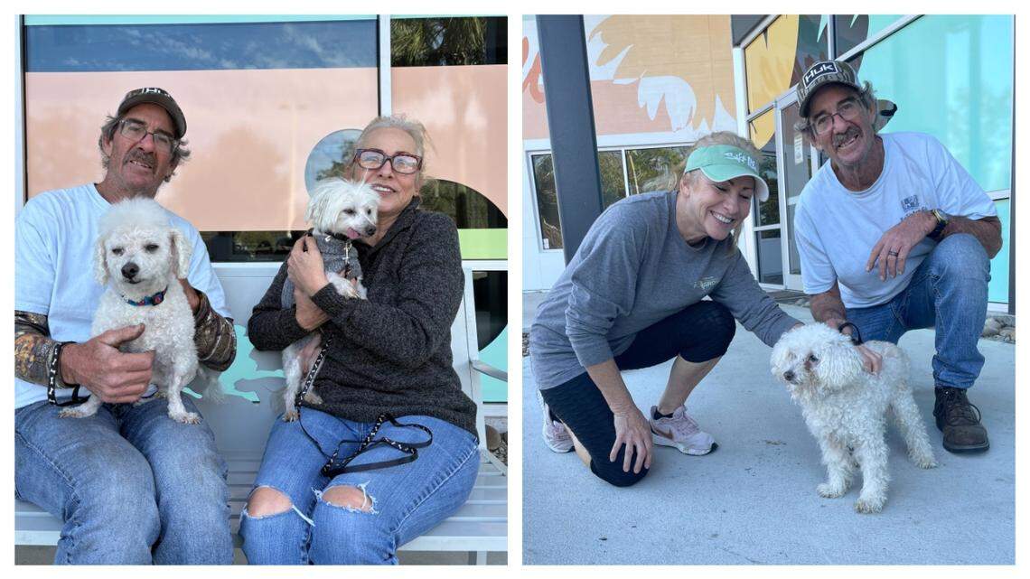 A couple adopted three dogs from a Florida animal shelter.
