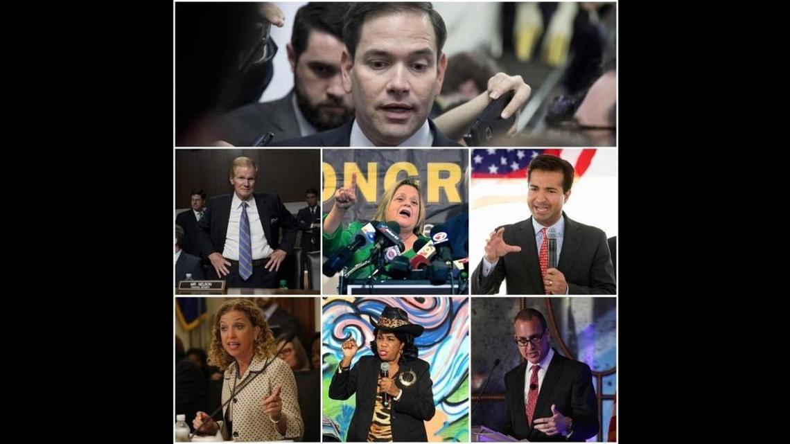 From top, left to right: Sen. Marco Rubio (R), Sen. Bill Nelson (D), Rep. Ileana Ros-Lehtinen (R), Rep. Carlos Curbelo (R), Rep. Debbie Wasserman Schultz (D), Rep. Frederica Wilson (D), Rep. Mario Diaz-Balart (R).