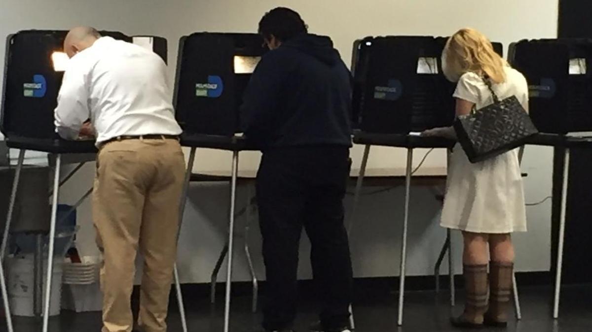 Voters participate in early voting in Coconut Grove on Tuesday, August 30, 2016.
