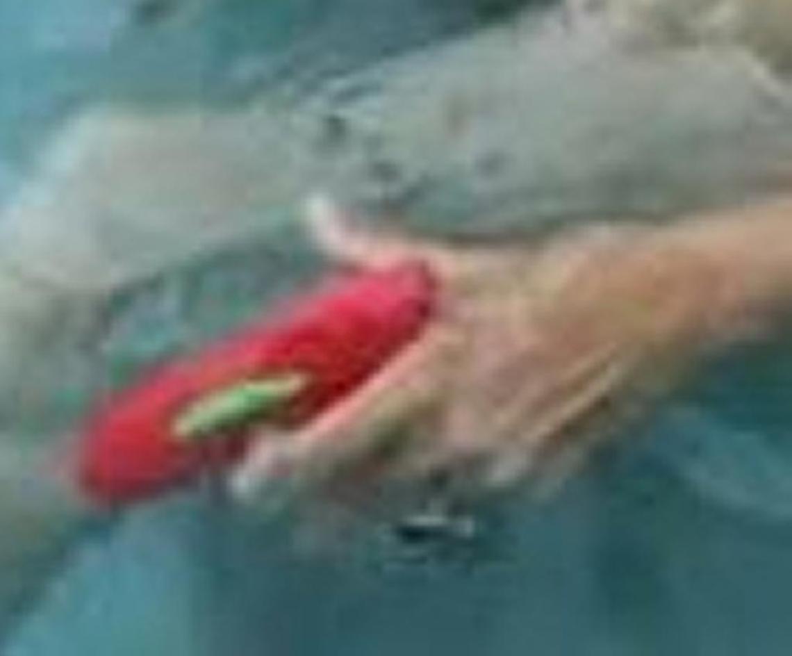 An anonymous social media posting made a claim about “sex toys” being handed out a pool party with female officers from Coral Gables. A close-up of the photo shows an officer clearly holding a toy water pistol.