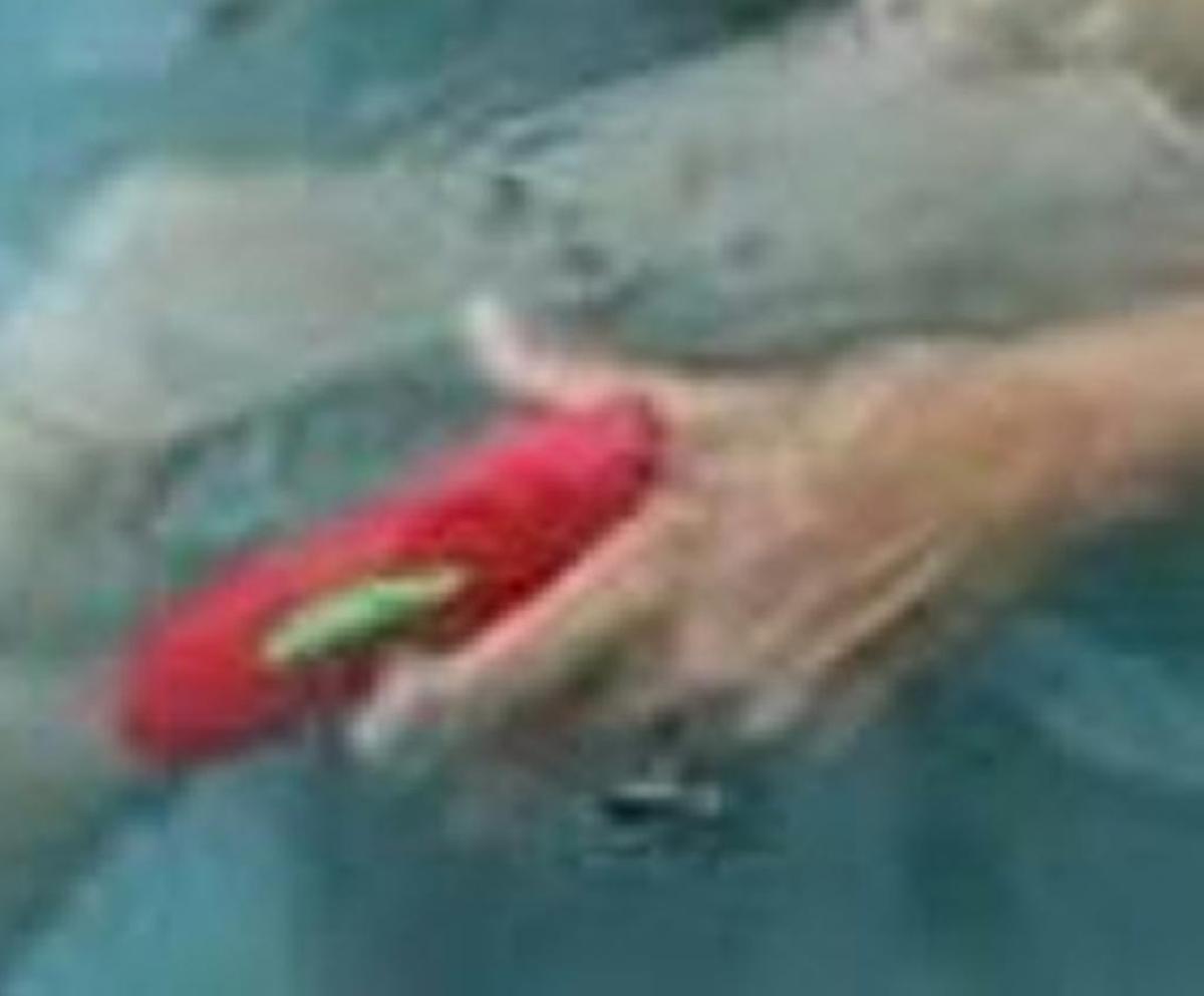 An anonymous social media posting made a claim about “sex toys” being handed out a pool party with female officers from Coral Gables. A close-up of the photo shows an officer clearly holding a toy water pistol.
