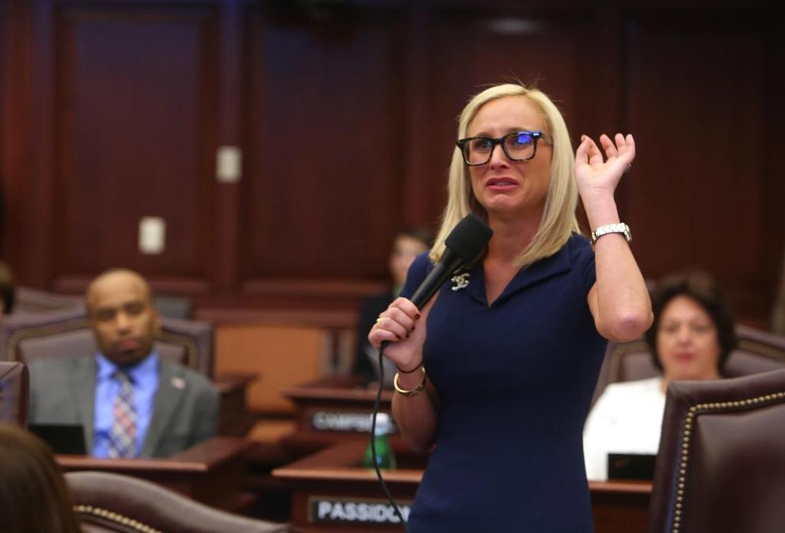 State Sen. Lauren Book describes the day and scene at Marjory Stoneman Douglas High School when 17 students and adults were killed in a mass shooting.