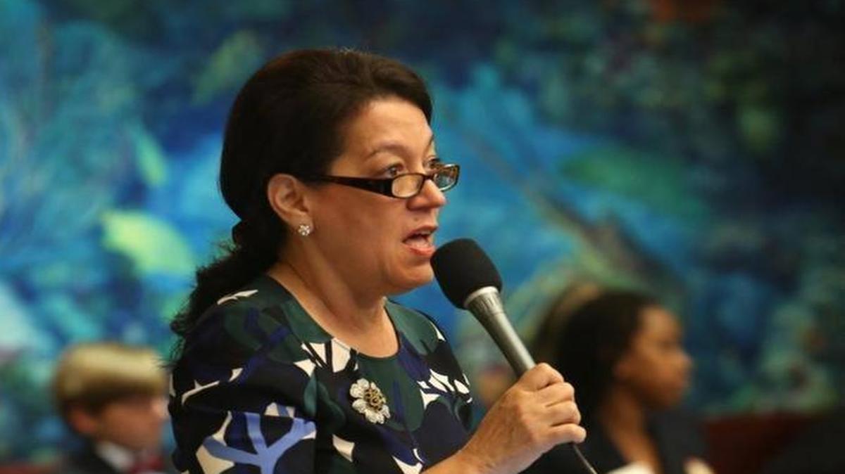 State Rep. Daisy Baez of Coral Gables, pictured during the legislative session that ended in May.