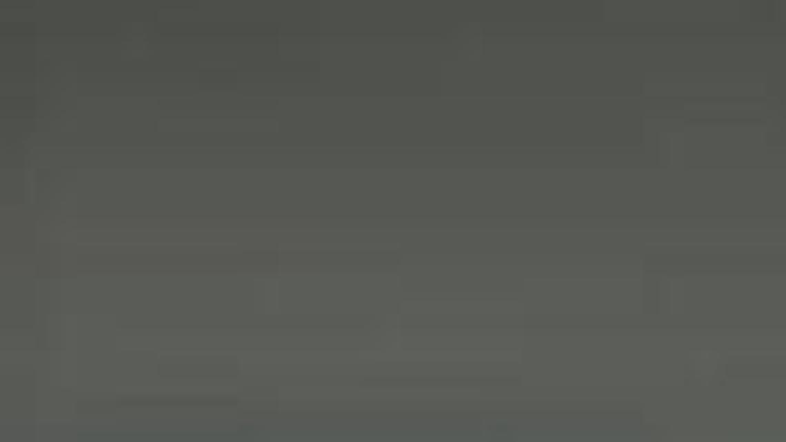 Real estate developer Stephen Bittel