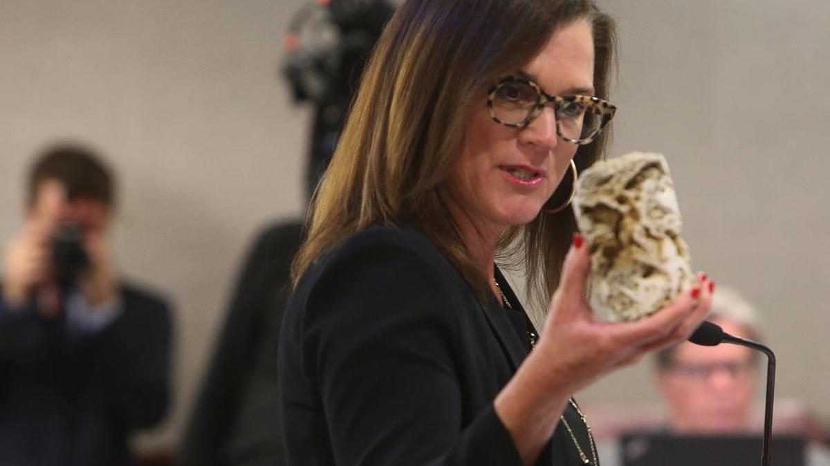 Sen. Dana Young, R-Tampa, shows off a piece of Florida limestone during a Senate Committee on Environmental Preservation and Conservation meeting considering her fracking ban bill, Tuesday, March 7, 2017, at the Capitol. The committee passed the bill.