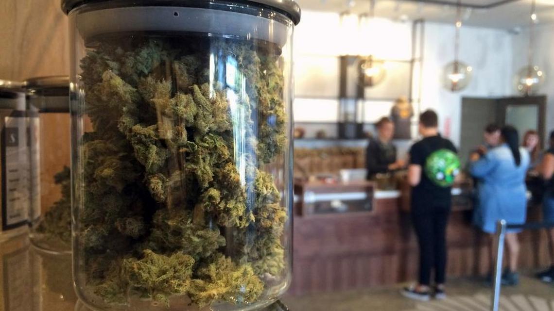 In this April 20, 2016 photo, customers buy products at the Harvest Medical Marijuana Dispensary in San Francisco. From California, with its counterculture heritage, to the fishing ports and mill towns of Maine, millions of Americans in nine states have a chance to vote Nov. 8 on expanding legal access to marijuana. Collectively, the ballot measures amount to the closest the U.S. has come to a national referendum on the drug.