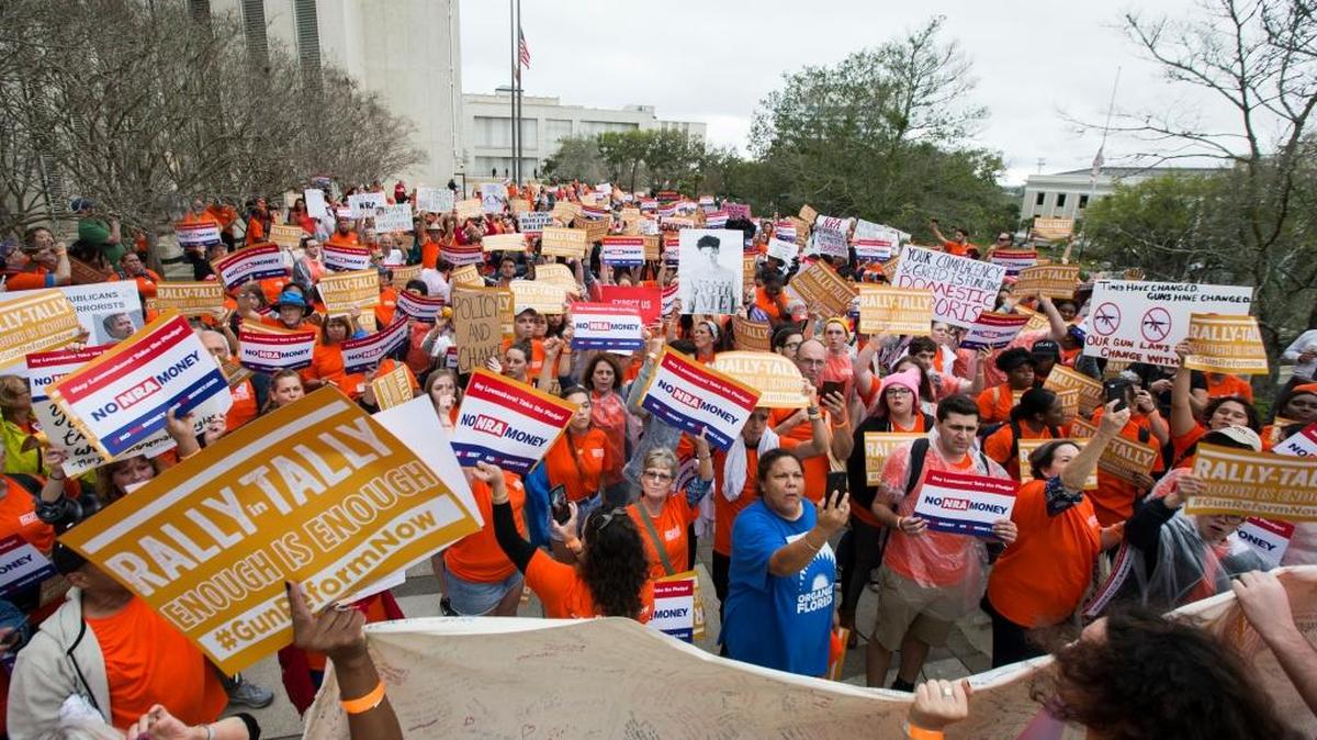 Protesters hold a rally at the Florida Capitol in Tallahassee Monday.
