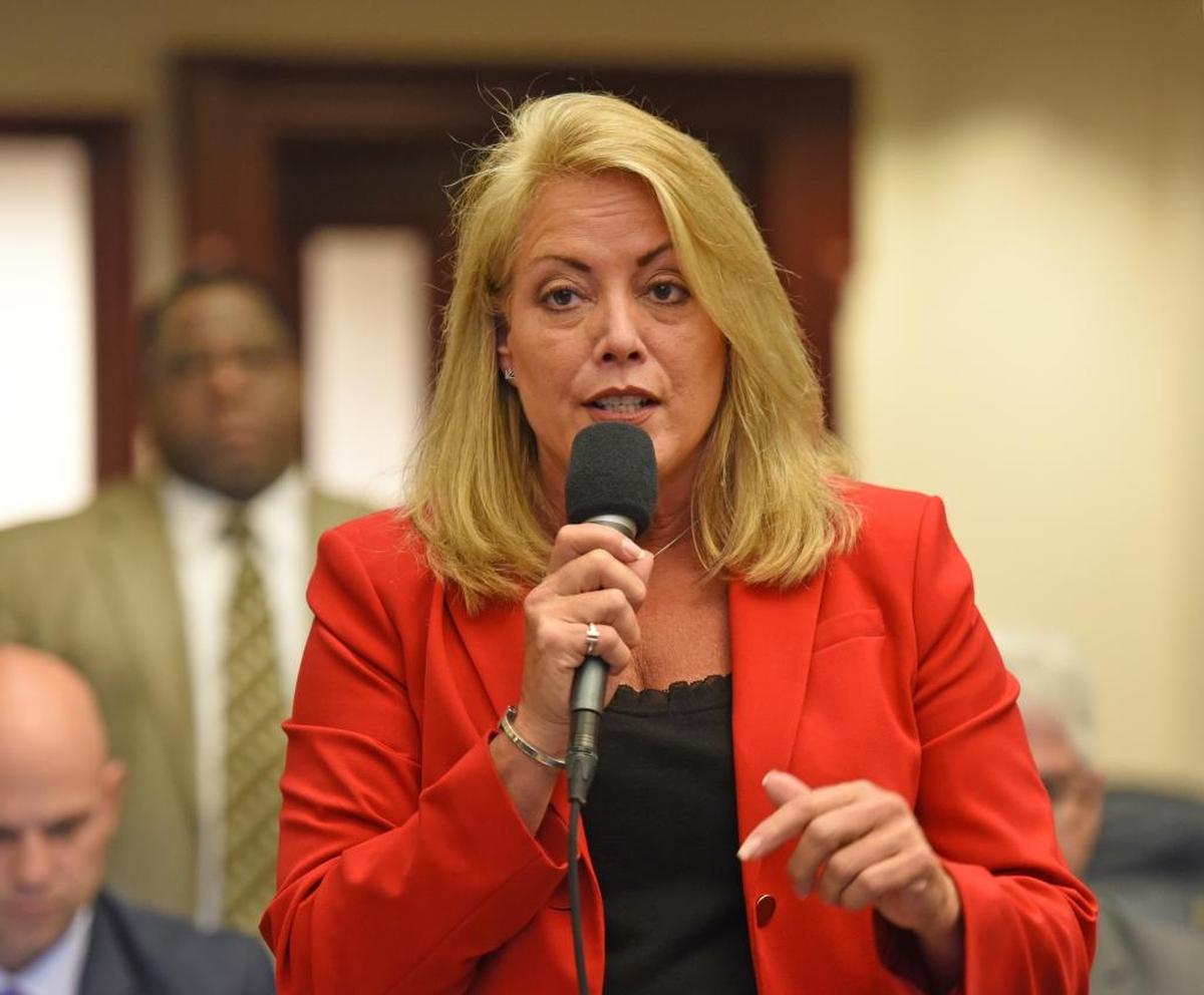 Rep. Kathleen Peters, R-St. Petersburg, debates on the House floor March 23, 2017.