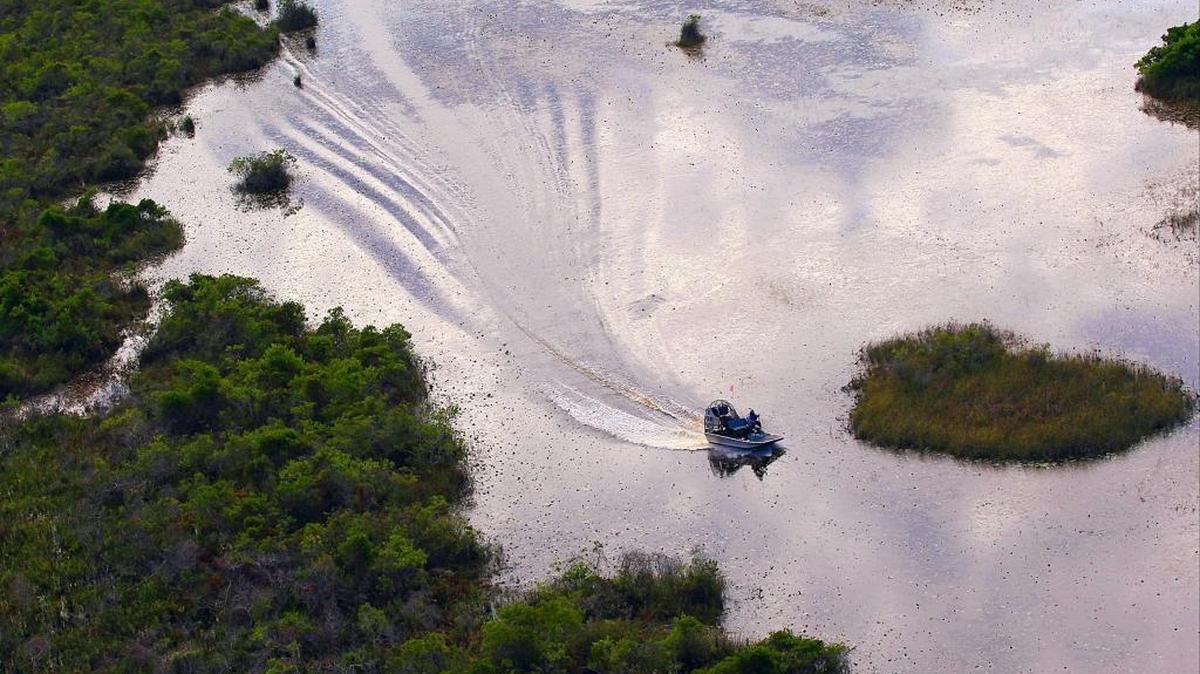 Workers use air boats to gain access while they cut and spray evasive plants on Monday, December 5, 2016, as the South Florida Water Management District flies over the 45,000-acre Loxahatchee Wildlife Refuge where the State is battling the evasive old world climbing ferns that is threatening the refuge.