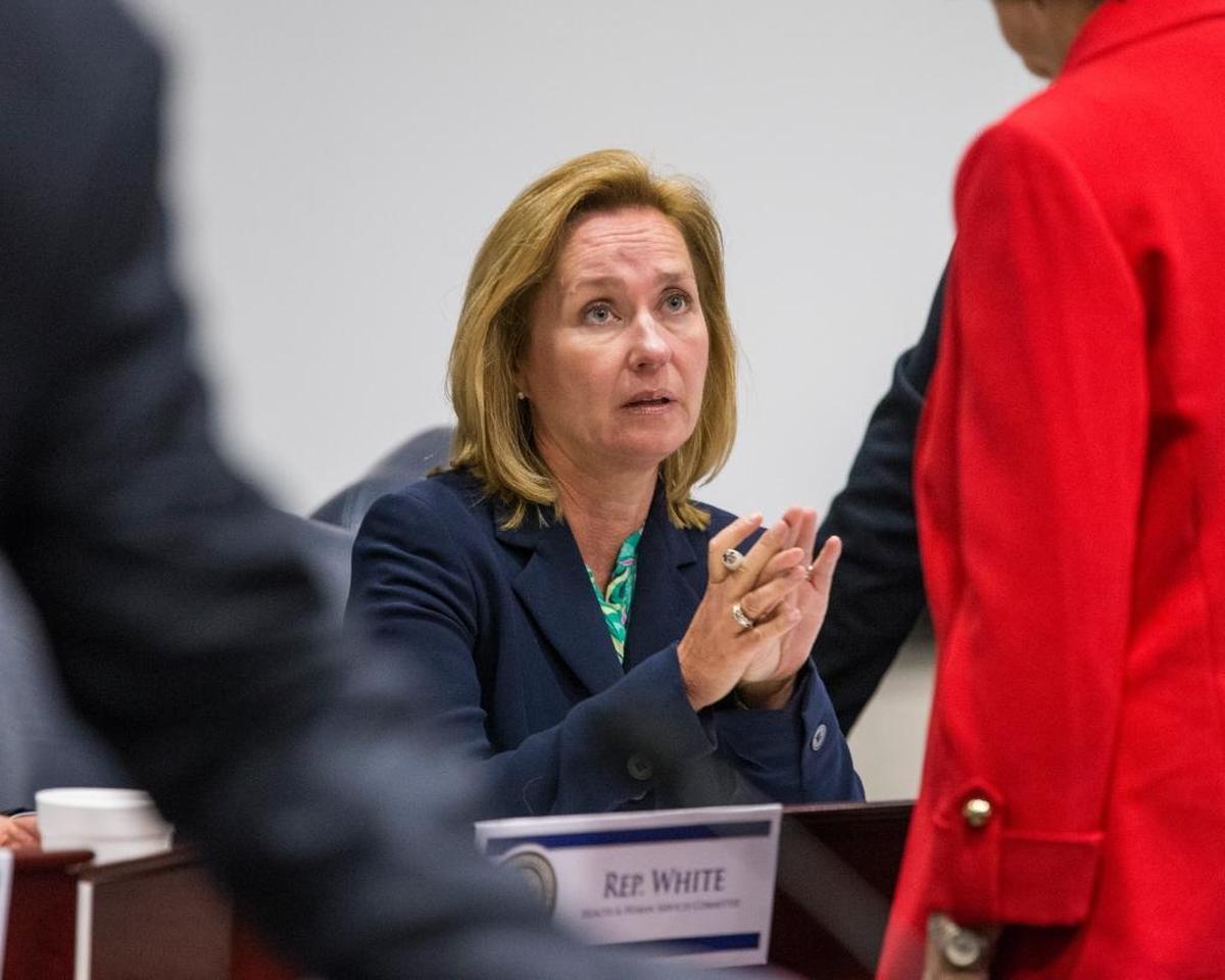 Rep. MaryLynn Magar, R-Hobe Sound, talks with committee members prior to discussions on medical marijuana during a special session of the Florida Legislature, Wednesday June 7, 2017 at the Capitol in Tallahassee.