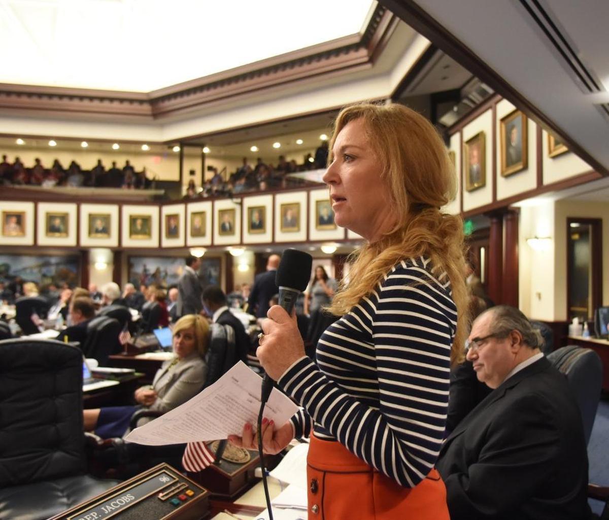 State Rep. Kristin Jacobs, D-Coconut Creek, speaks in the House chamber during the 2017 legislative session in Tallahassee. She is the House sponsor of a bill that takes on the issue of sexual harassment by legislators and others in the state capital.