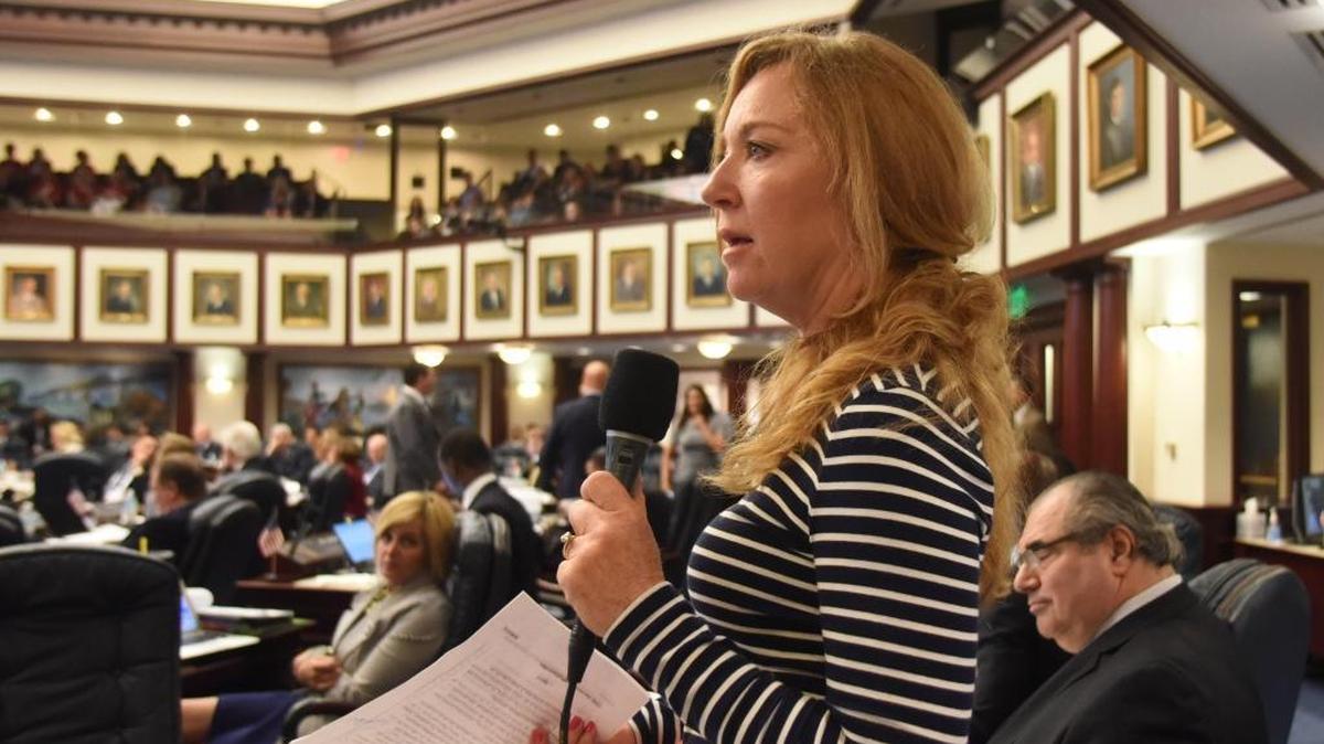 State Rep. Kristin Jacobs, D-Coconut Creek, speaks in the House chamber during the 2017 legislative session in Tallahassee. She is the House sponsor of a bill that takes on the issue of sexual harassment by legislators and others in the state capital.